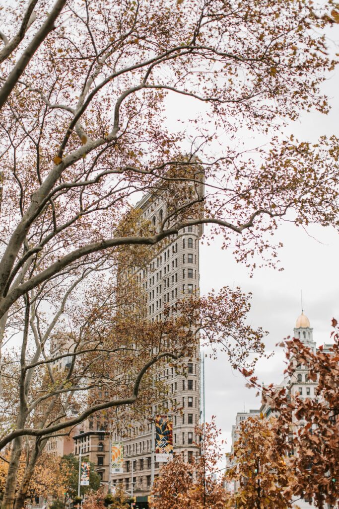 Flatiron View from Madison Square Park